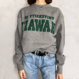 christmas outfit Dodobye University Of Hawaii Vintage Sweatshirt