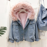 Dodobye 2025 New Winter Jacket Women Velvet Thick Denim Jacket Big Faux Fur Collar Hooded Jean Jacket Female Vintage Casual Outwear 1025