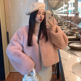 thanksgiving outfit Dodobye Plus Size Winter Korean Style Leather Alternative Eco-Friendly Plush Jacket High-End Thickened Cropped Overcoat For Plus Size