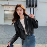 thanksgiving outfit Dodobye Pink PU Leather Jacket Women's Cropped Petite Jacket 2024 New Spring Autumn Street Style Fashion Overcoat From China Mainland