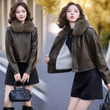 thanksgiving outfit Dodobye Women's Autumn Winter New Style Leather Jacket Large Collar Fleece Lined And Thickened Petite Jacket PULeather ZH1138