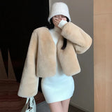 thanksgiving outfit Dodobye Plus Size Winter Korean Style Leather Alternative Eco-Friendly Plush Jacket High-End Thickened Cropped Overcoat For Plus Size