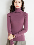 christmas outfit Dodobye Simple Skinny Long Sleeves Solid Color High-Neck Sweater Tops Pullovers